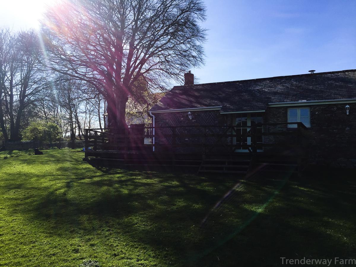 Trenderway Farm Bed & Breakfast Looe Exterior foto