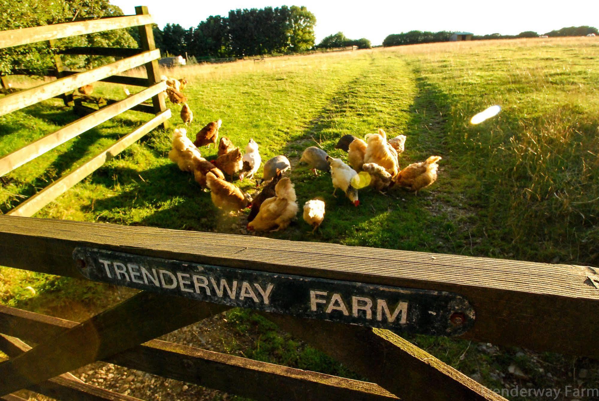 Trenderway Farm Bed & Breakfast Looe Exterior foto